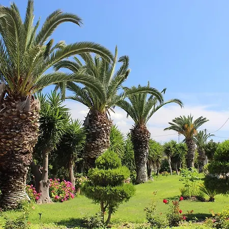 Otel Corellia Asterias Beach