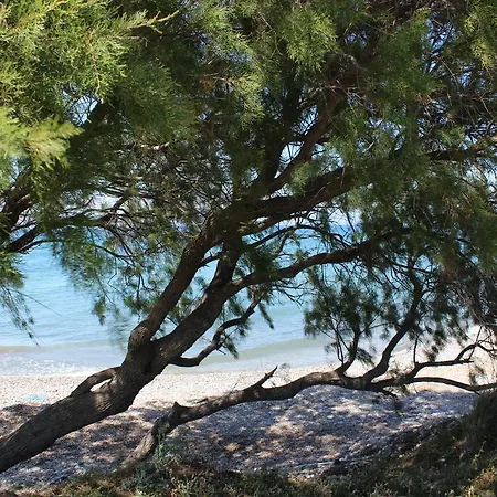 Отель Corellia Asterias Beach Теологос