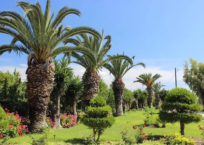 Hotel Corellia Asterias Beach